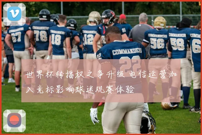 世界杯转播权之争升级 电信运营加入竞标影响球迷观赛体验