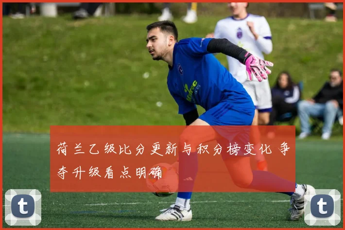 荷兰乙级比分更新与积分榜变化 争夺升级看点明确