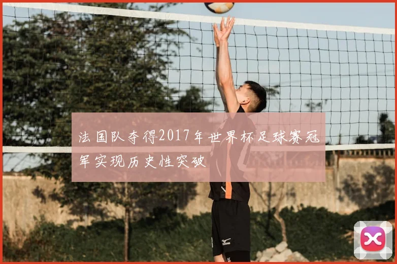 法国队夺得2017年世界杯足球赛冠军实现历史性突破