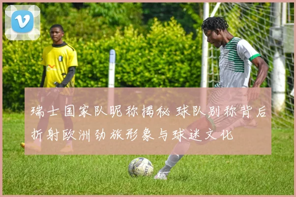 瑞士国家队昵称揭秘 球队别称背后折射欧洲劲旅形象与球迷文化