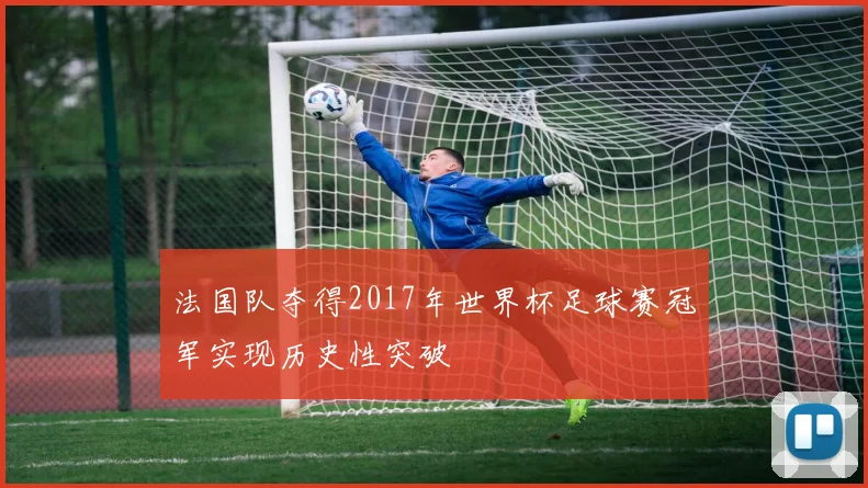 法国队夺得2017年世界杯足球赛冠军实现历史性突破
