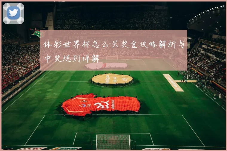 体彩世界杯怎么买奖金攻略解析与中奖规则详解