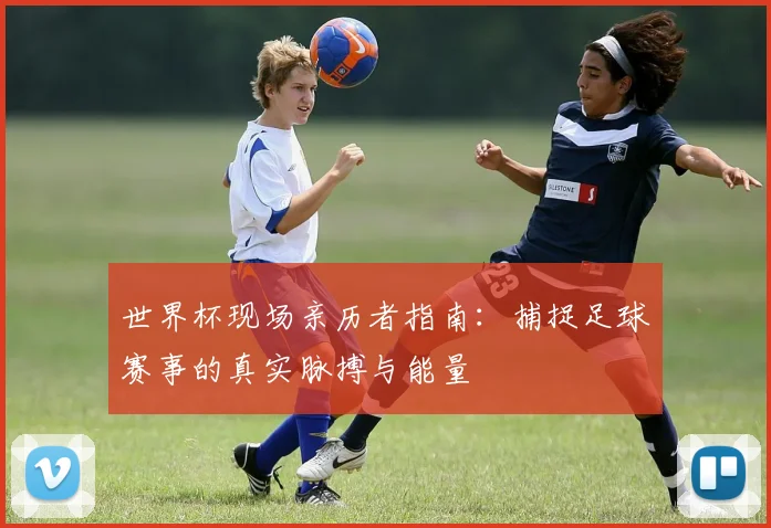 世界杯现场亲历者指南：捕捉足球赛事的真实脉搏与能量